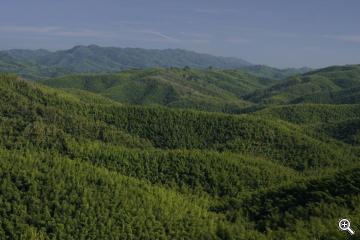 Hügellandschaft auf dem Weg nach Ngapali