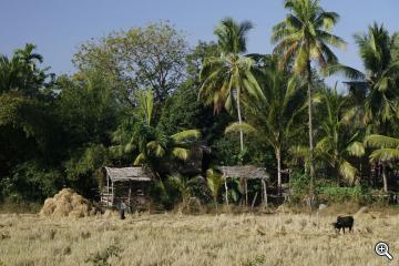 Bambushütten in Myanmar