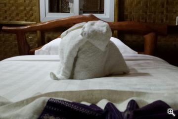 Ein Elefant im Bungalow