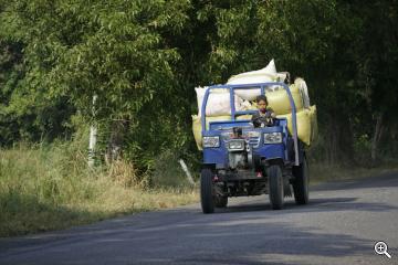 Junger Burmese fährt Auto