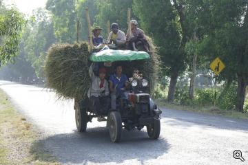 Mit Heu beladener Lastwagen