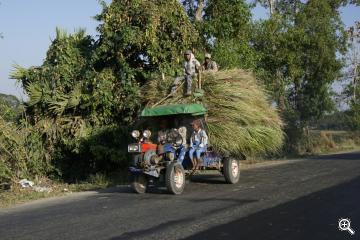 Mit Schilf beladener Lastwagen in Burma