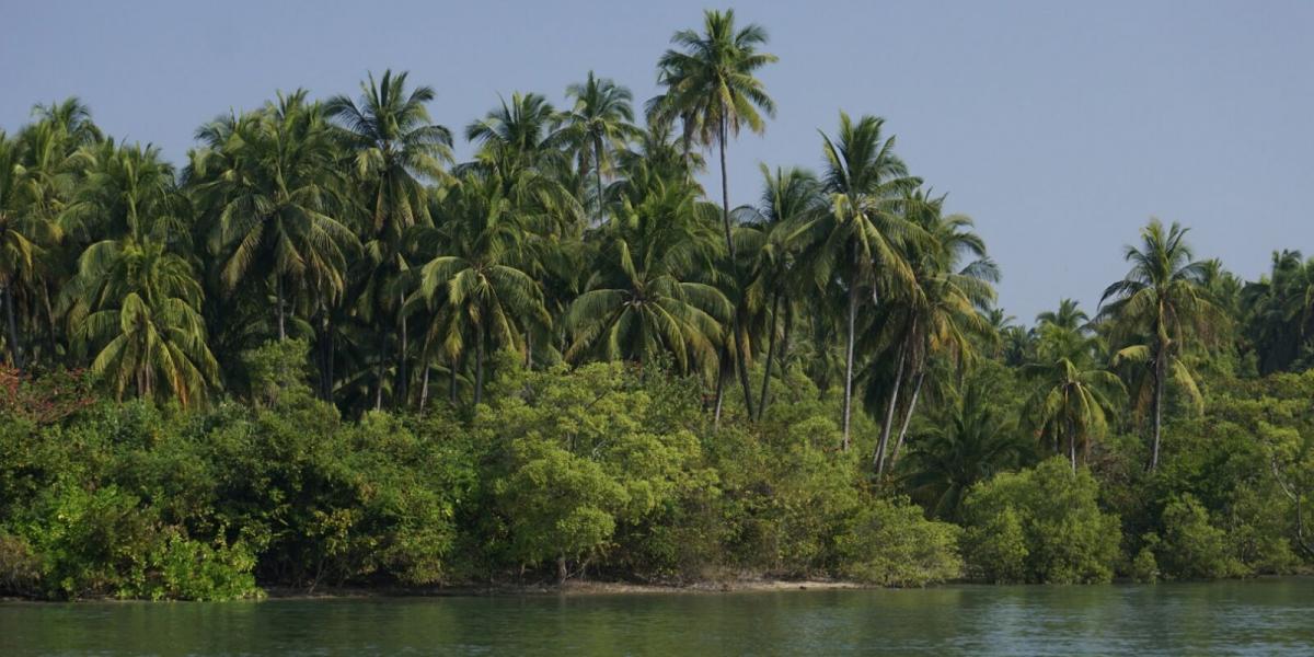 Flusslandschaft bei Ngwe Saung, Burma
